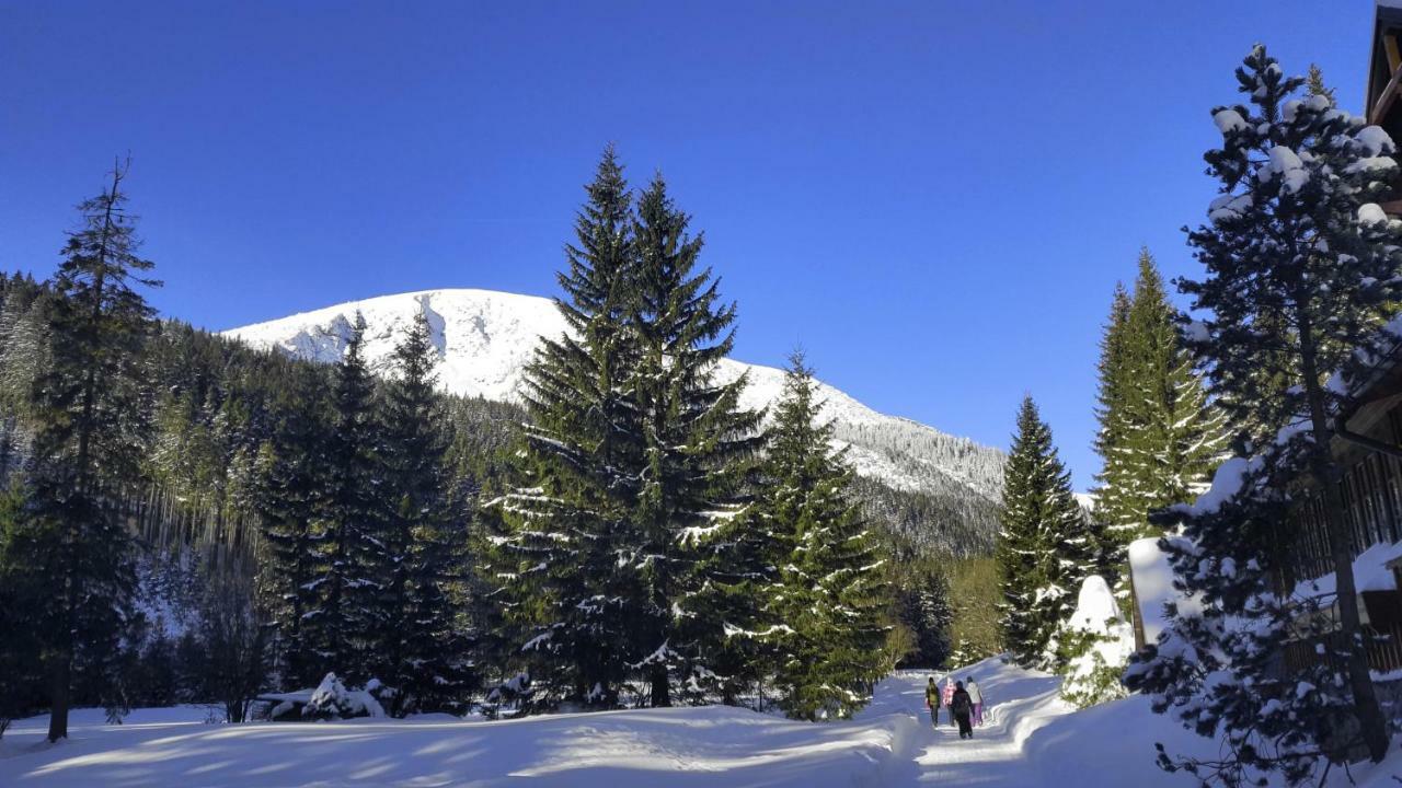 Ubytování Javor Pec pod Sněžkou Exterior foto